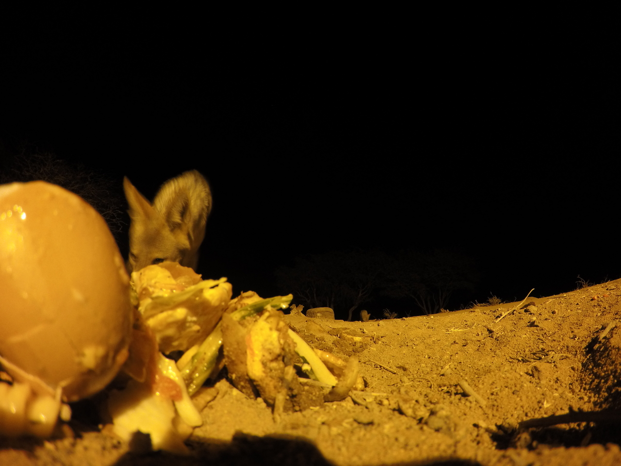 [10261] 2016_06_23_19_02_21_Africa_HERO4_Silver_IMG__03894.jpg