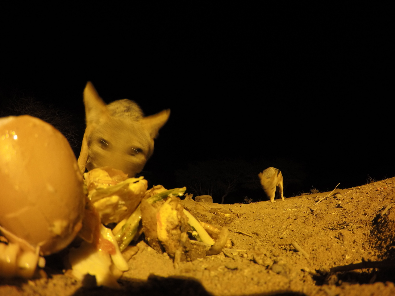 [10270] 2016_06_23_19_02_31_Africa_HERO4_Silver_IMG__00041.jpg