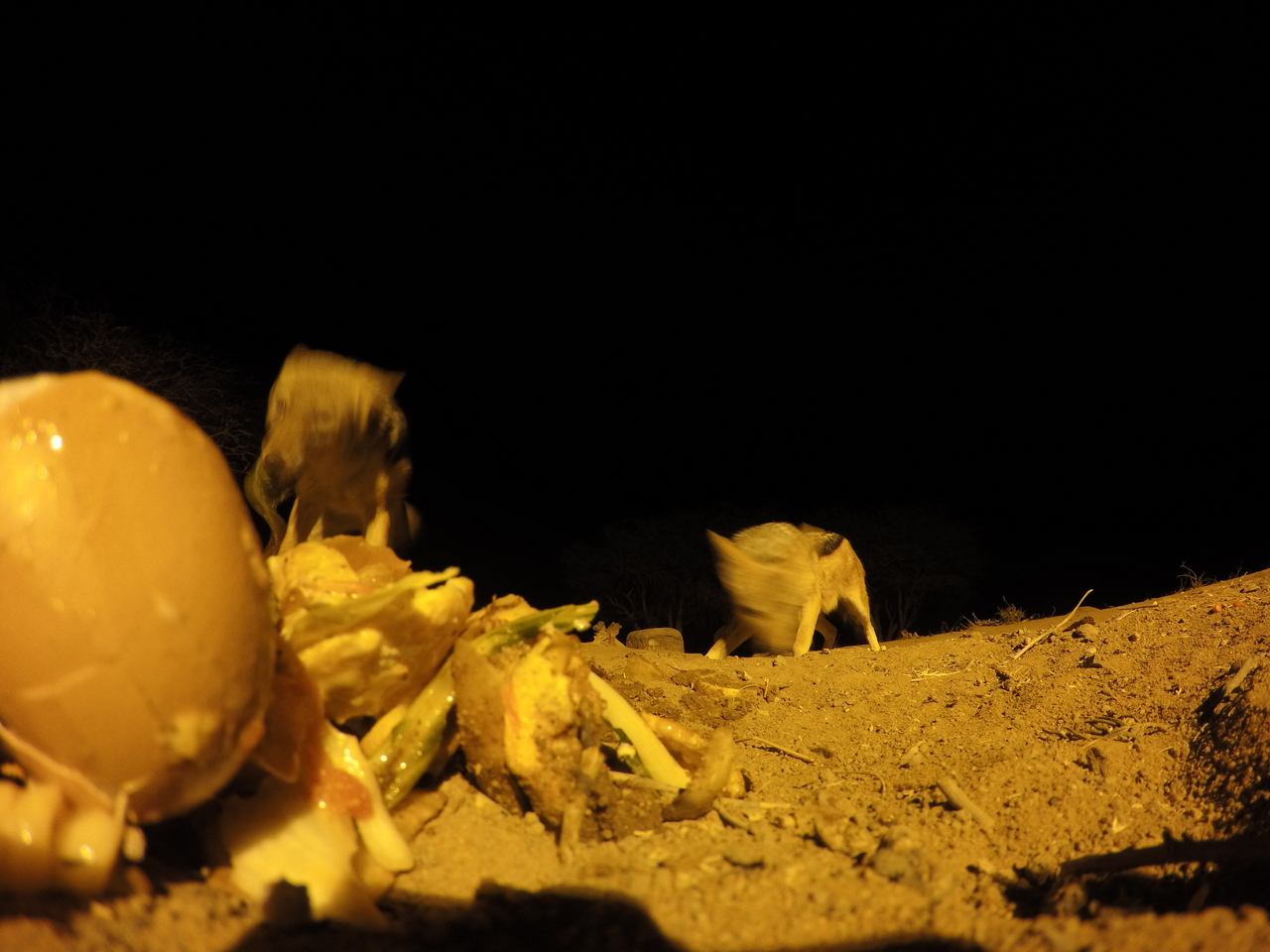 [10293] 2016_06_23_19_02_51_Africa_HERO4_Silver_IMG__03900.jpg