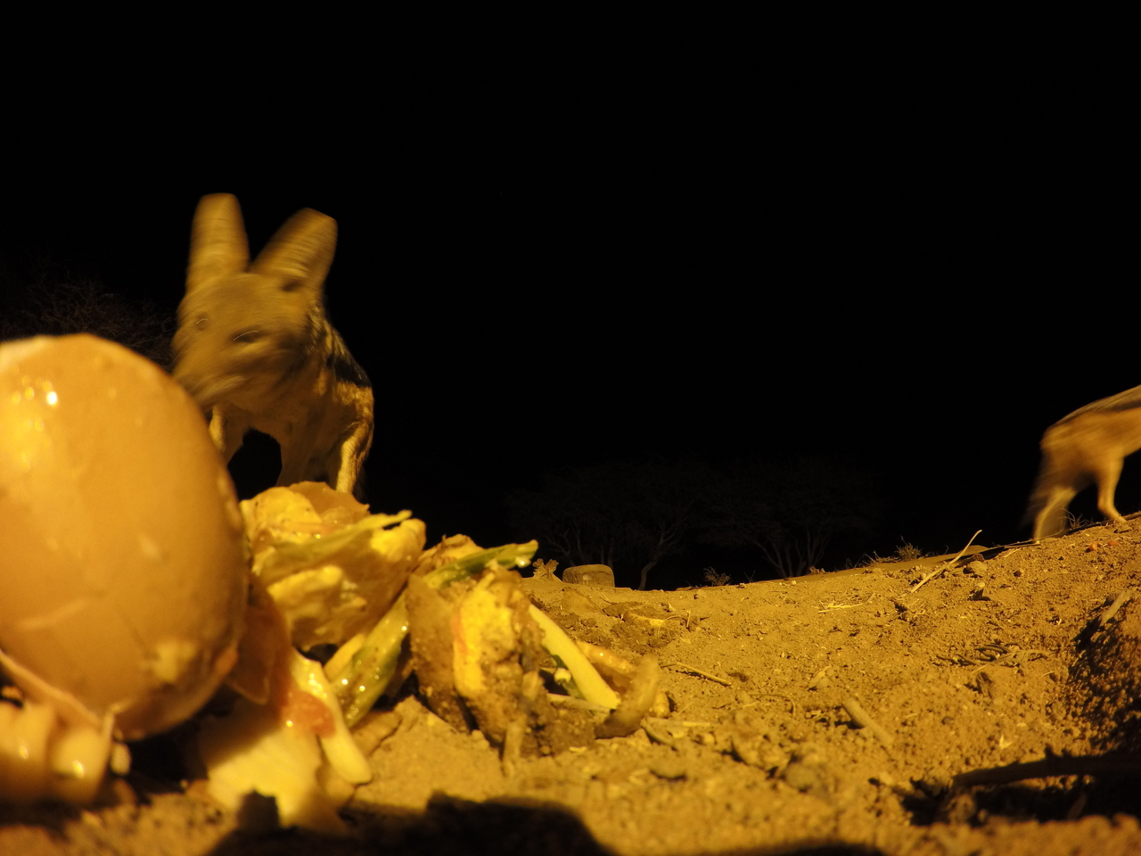 [10311] 2016_06_23_19_03_06_Africa_HERO4_Silver_IMG__03903.jpg