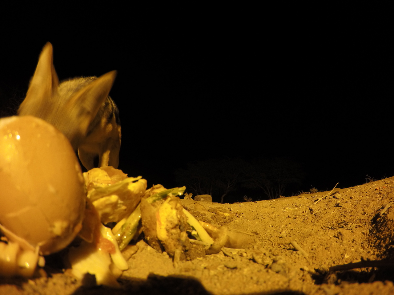 [10317] 2016_06_23_19_03_11_Africa_HERO4_Silver_IMG__03904.jpg