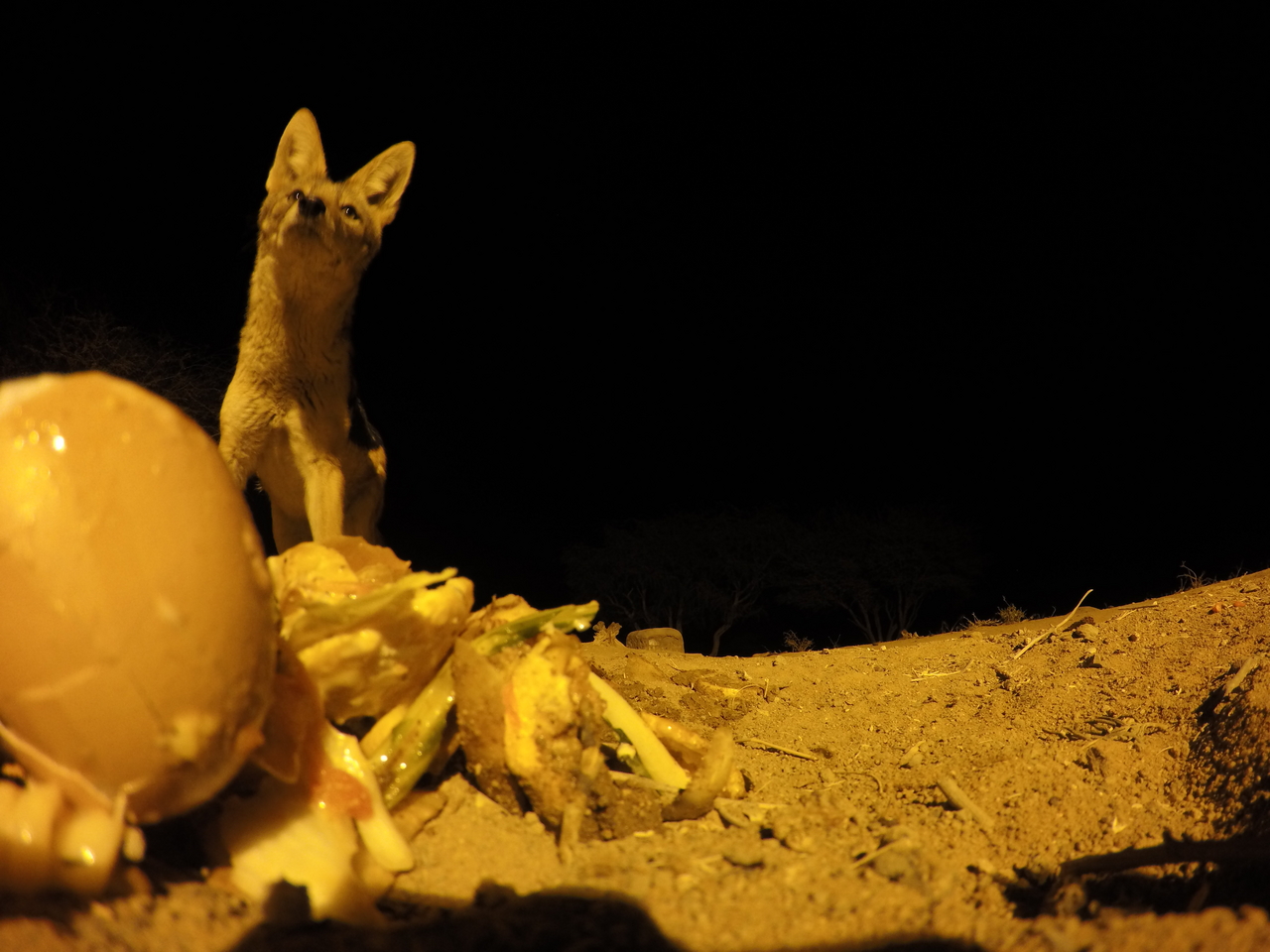 [10323] 2016_06_23_19_03_16_Africa_HERO4_Silver_IMG__03905.jpg