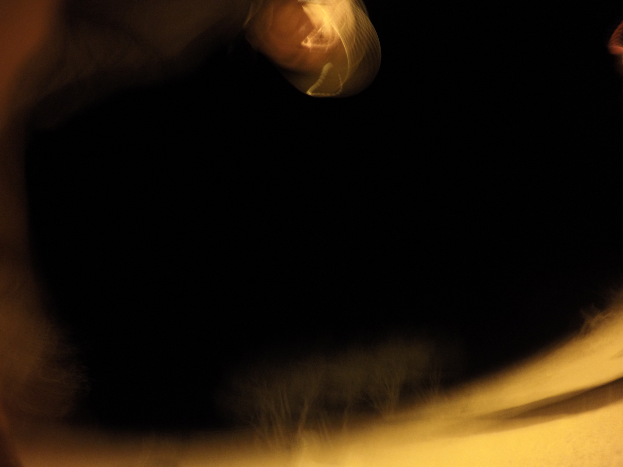 [10357] 2016_06_23_19_03_47_Africa_HERO4_Silver_IMG__03911.jpg