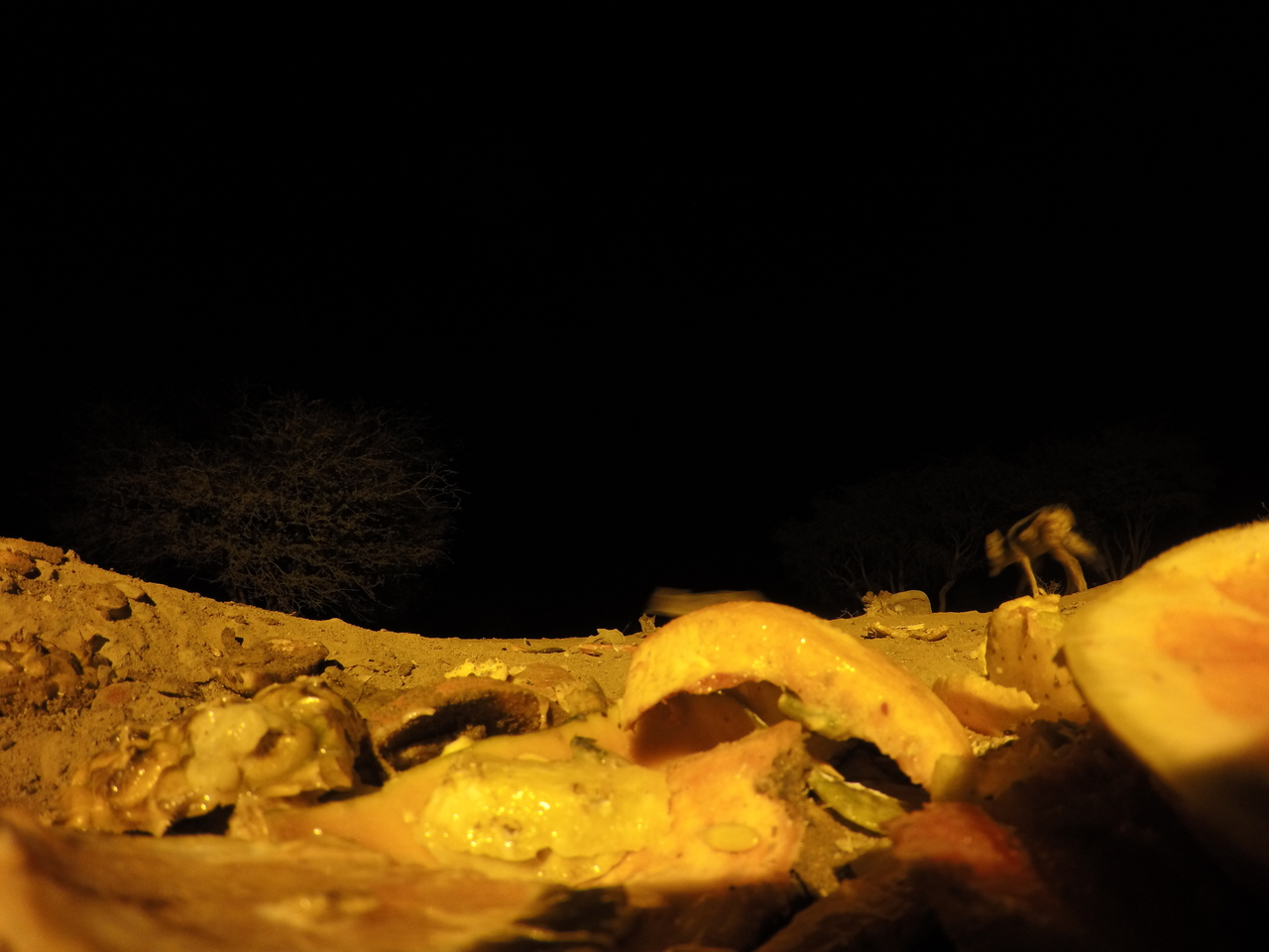 [10424] 2016_06_23_19_04_56_Africa_HERO4_Silver_IMG__00070.jpg