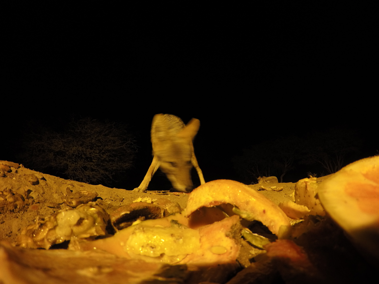 [10434] 2016_06_23_19_05_06_Africa_HERO4_Silver_IMG__00072.jpg