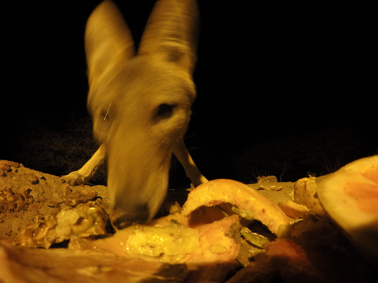 [10442] 2016_06_23_19_05_16_Africa_HERO4_Silver_IMG__00074.jpg