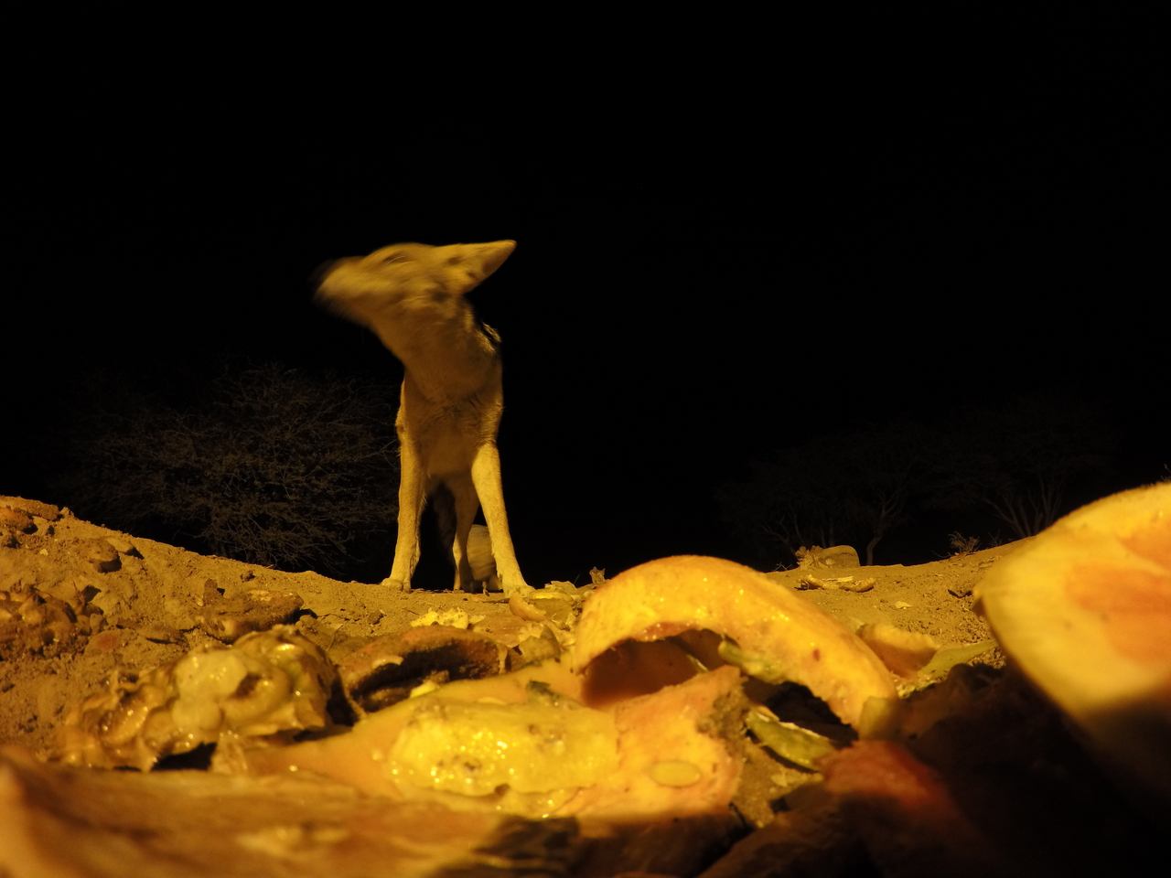 [10461] 2016_06_23_19_05_36_Africa_HERO4_Silver_IMG__03933.jpg