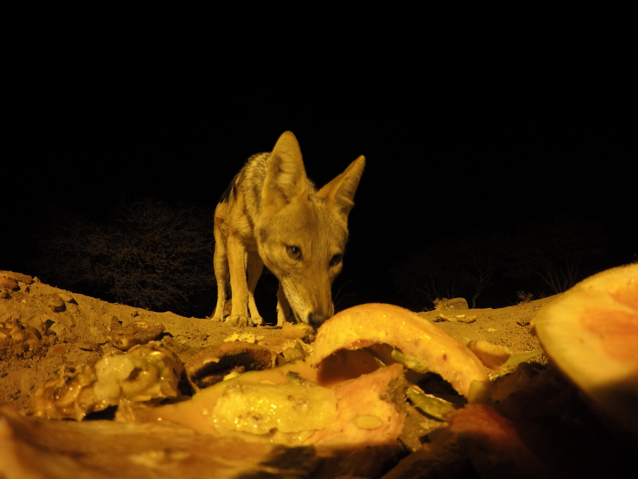 [10464] 2016_06_23_19_05_41_Africa_HERO4_Silver_IMG__00079.jpg