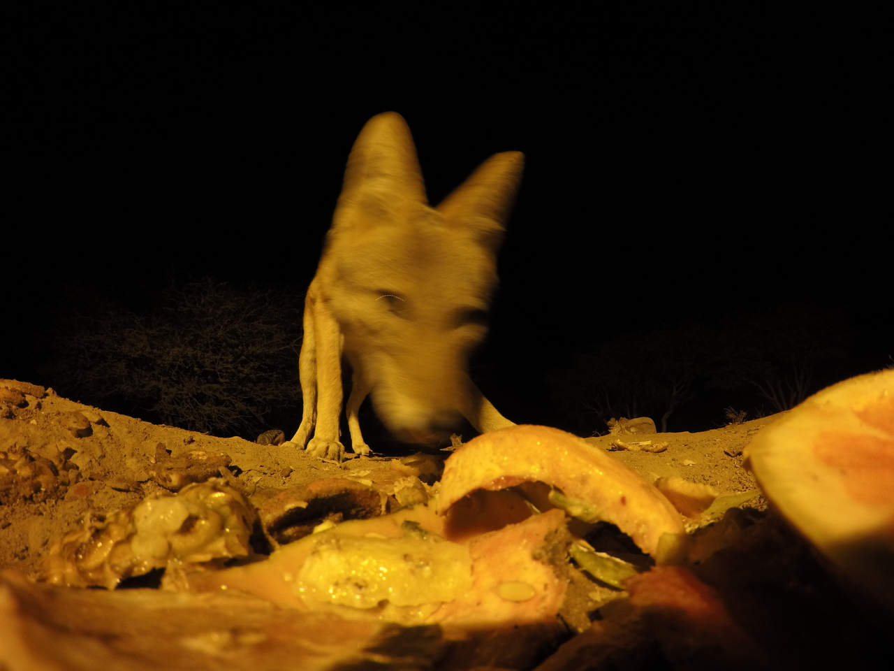 [10474] 2016_06_23_19_05_51_Africa_HERO4_Silver_IMG__00081.jpg