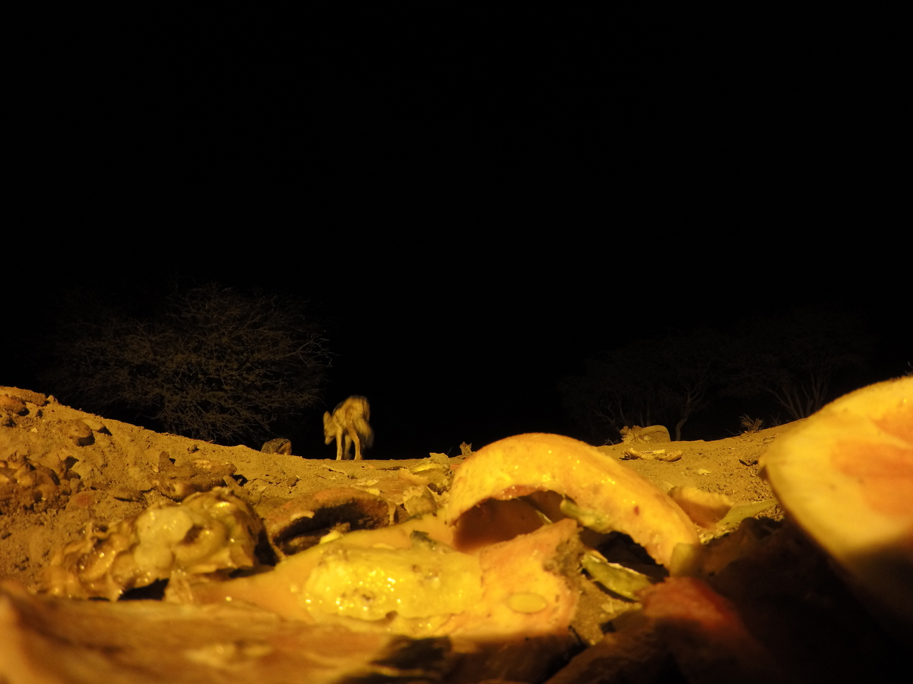 [10479] 2016_06_23_19_05_56_Africa_HERO4_Silver_IMG__03937.jpg