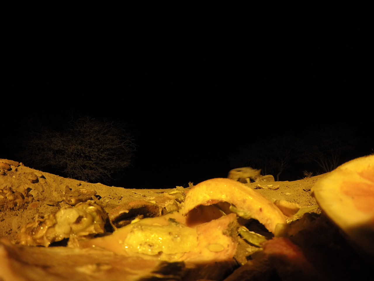 [10497] 2016_06_23_19_06_16_Africa_HERO4_Silver_IMG__03941.jpg