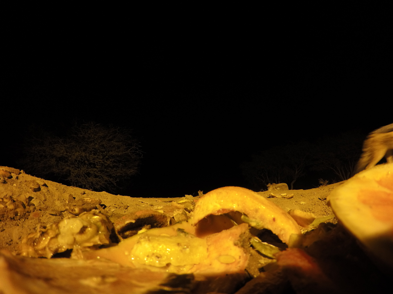 [10510] 2016_06_23_19_06_31_Africa_HERO4_Silver_IMG__00089.jpg