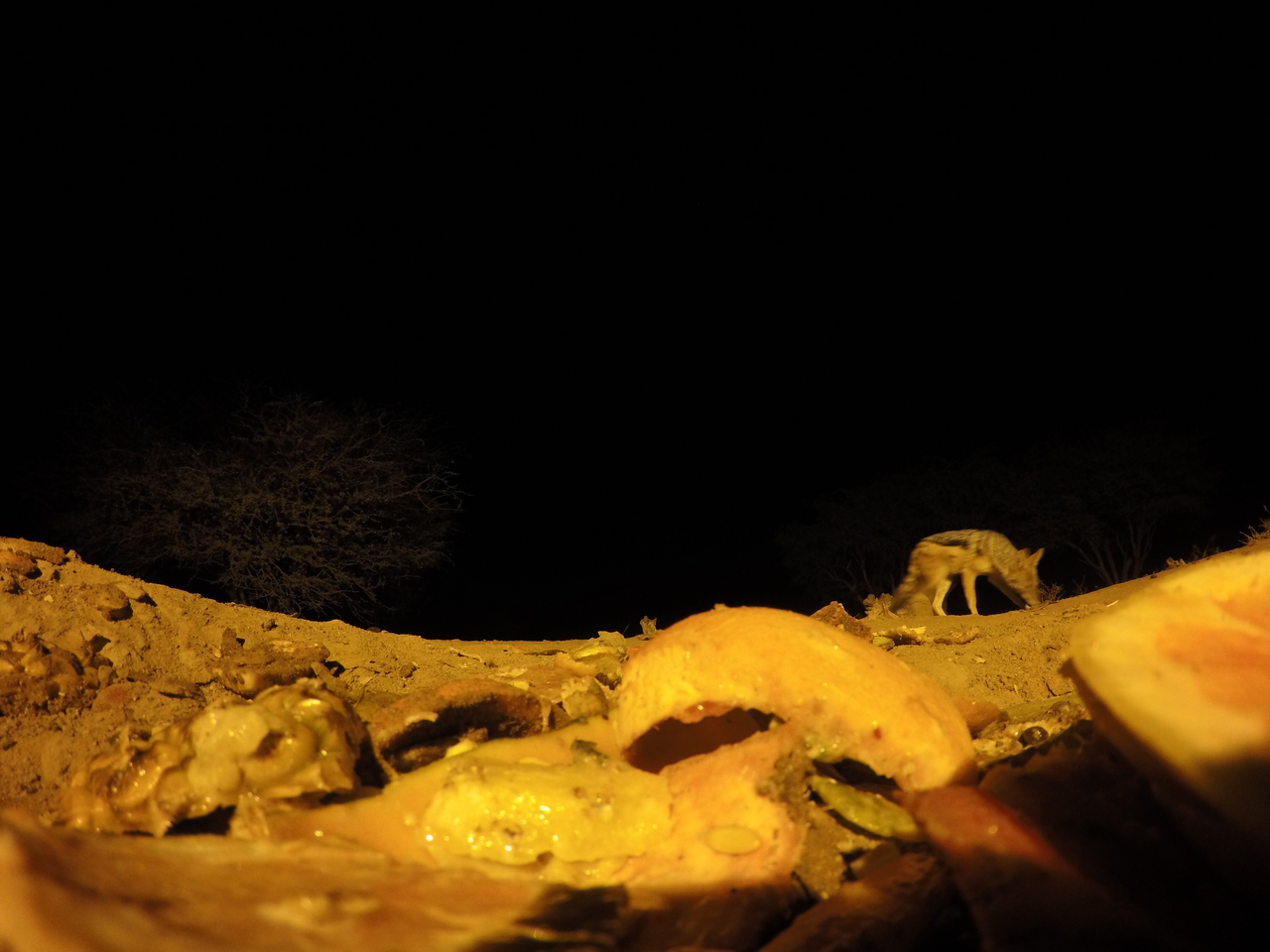 [10562] 2016_06_23_19_07_26_Africa_HERO4_Silver_IMG__00100.jpg