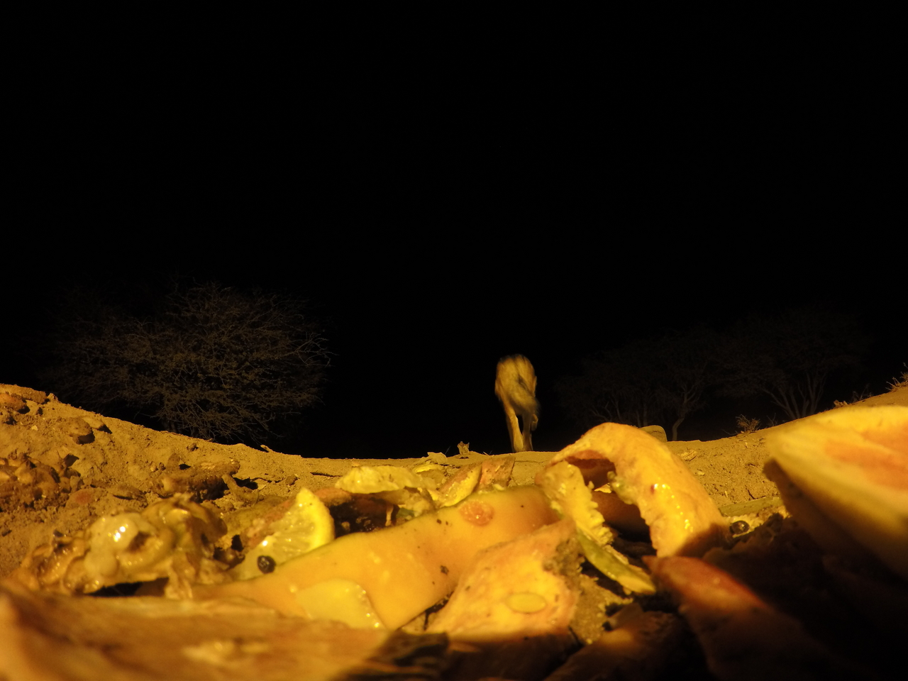 [10595] 2016_06_23_19_08_02_Africa_HERO4_Silver_IMG__03962.jpg