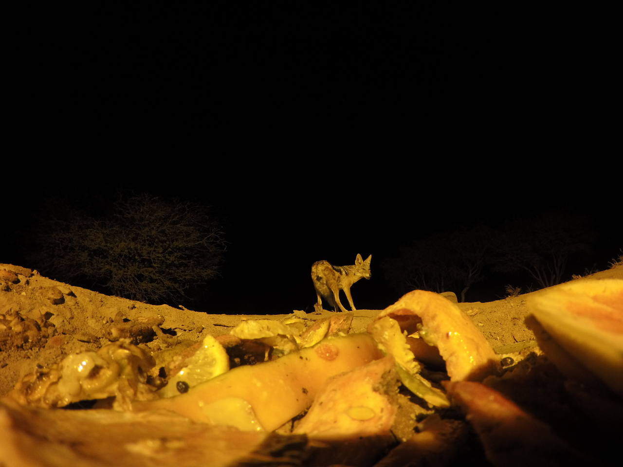 [10599] 2016_06_23_19_08_06_Africa_HERO4_Silver_IMG__03963.jpg