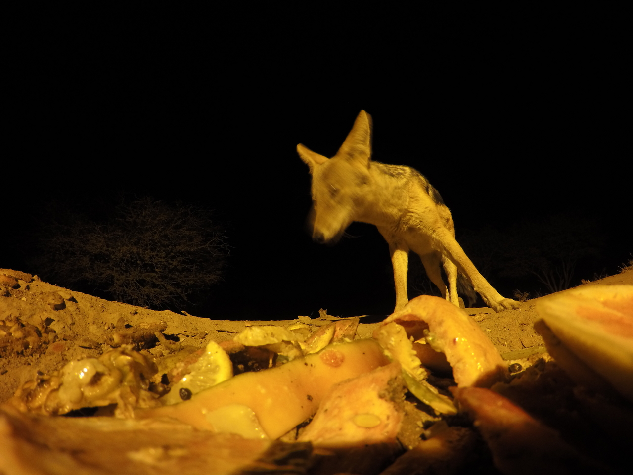 [10612] 2016_06_23_19_08_22_Africa_HERO4_Silver_IMG__00111.jpg