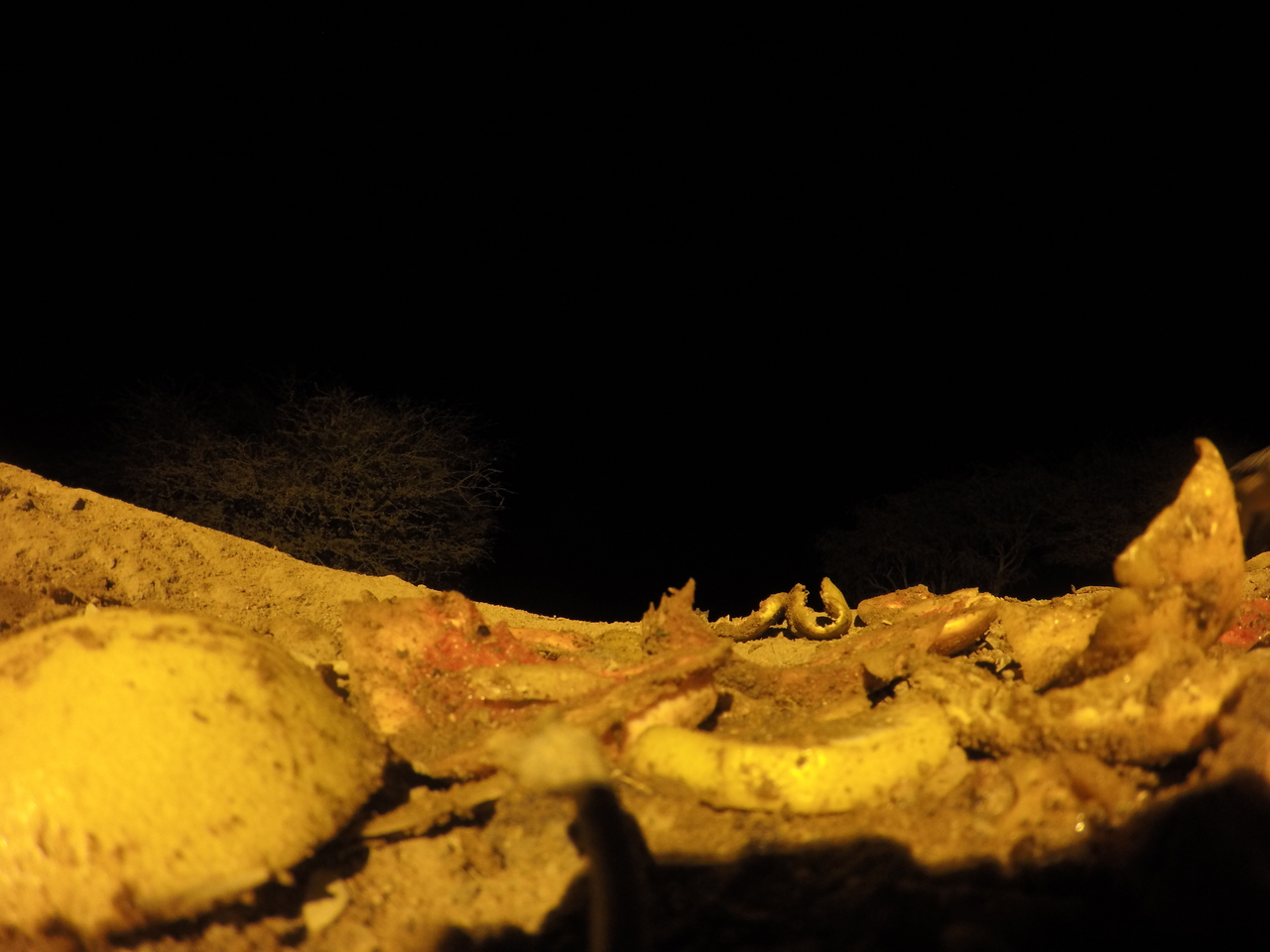 [10806] 2016_06_23_19_51_01_Africa_HERO4_Silver_IMG__04009.jpg