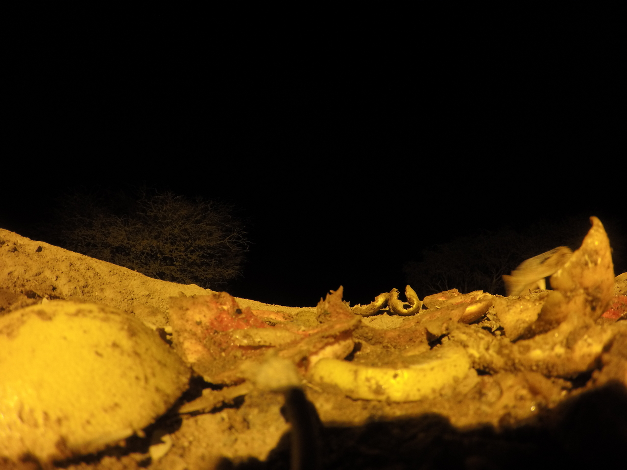 [10842] 2016_06_23_19_51_36_Africa_HERO4_Silver_IMG__04016.jpg