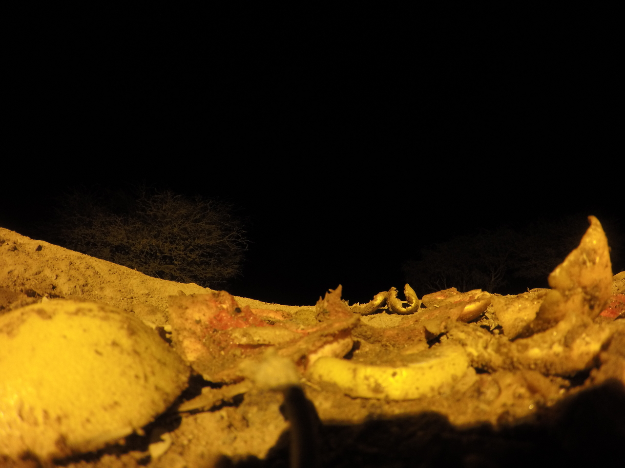 [10909] 2016_06_23_19_52_41_Africa_HERO4_Silver_IMG__00174.jpg