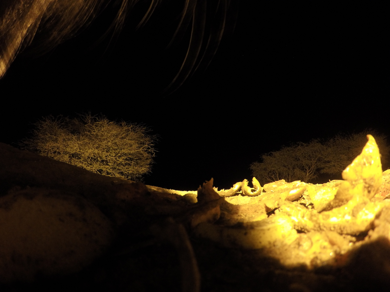 [10918] 2016_06_23_19_52_51_Africa_HERO4_Silver_IMG__04031.jpg