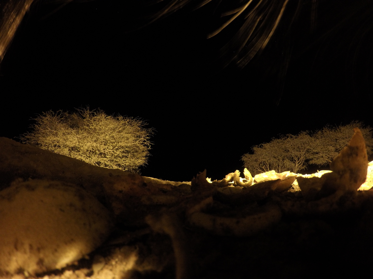 [10922] 2016_06_23_19_52_57_Africa_HERO4_Silver_IMG__04032.jpg