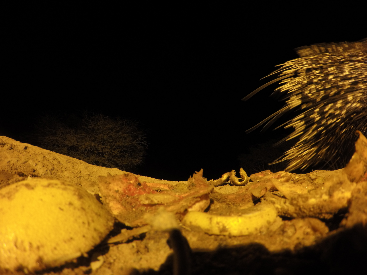 [10957] 2016_06_23_19_53_36_Africa_HERO4_Silver_IMG__00185.jpg