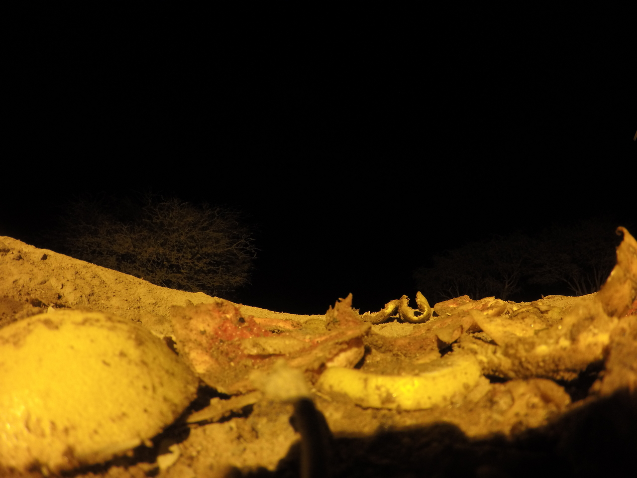 [10961] 2016_06_23_19_53_41_Africa_HERO4_Silver_IMG__00186.jpg