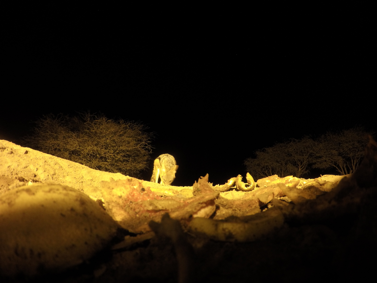 [10972] 2016_06_23_19_53_51_Africa_HERO4_Silver_IMG__04043.jpg