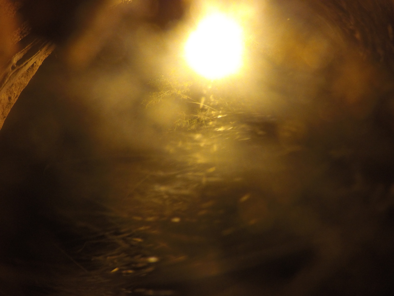 [11996] 2016_06_23_20_08_46_Africa_HERO4_Silver_IMG__00367.jpg