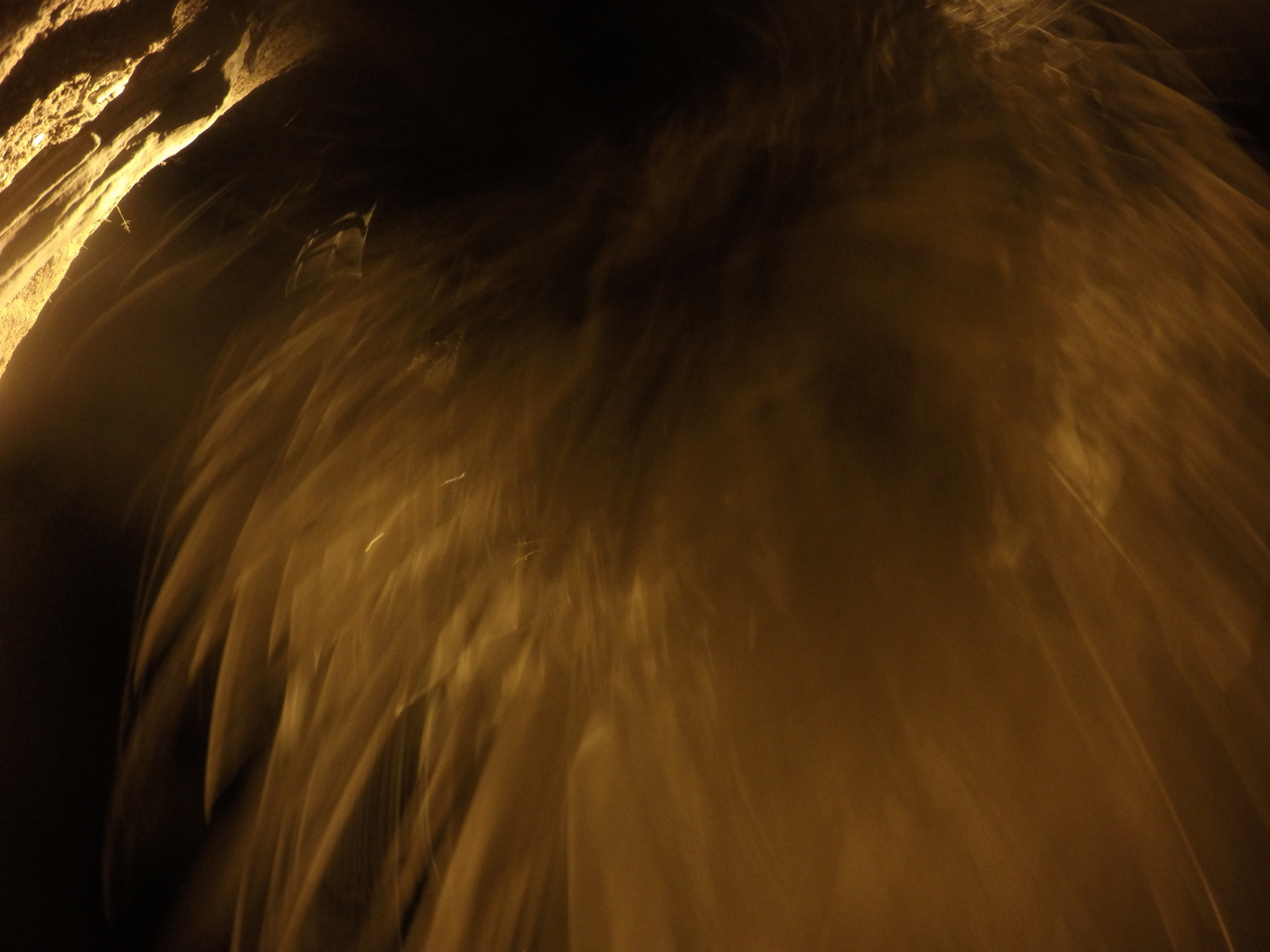 [12071] 2016_06_23_20_09_52_Africa_HERO4_Silver_IMG__04235.jpg