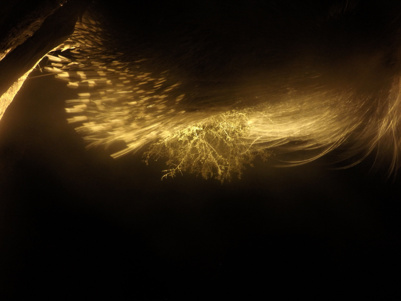 [12089] 2016_06_23_20_10_07_Africa_HERO4_Silver_IMG__04238.jpg