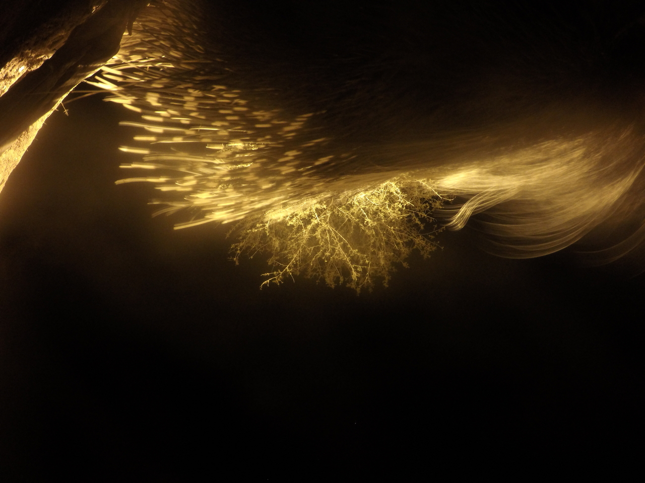 [12135] 2016_06_23_20_10_47_Africa_HERO4_Silver_IMG__04246.jpg