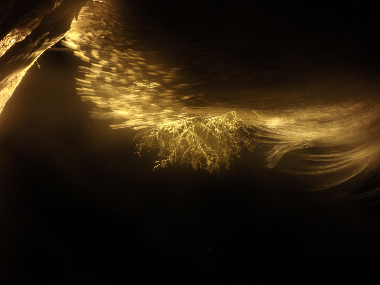 [12152] 2016_06_23_20_11_02_Africa_HERO4_Silver_IMG__00394.jpg