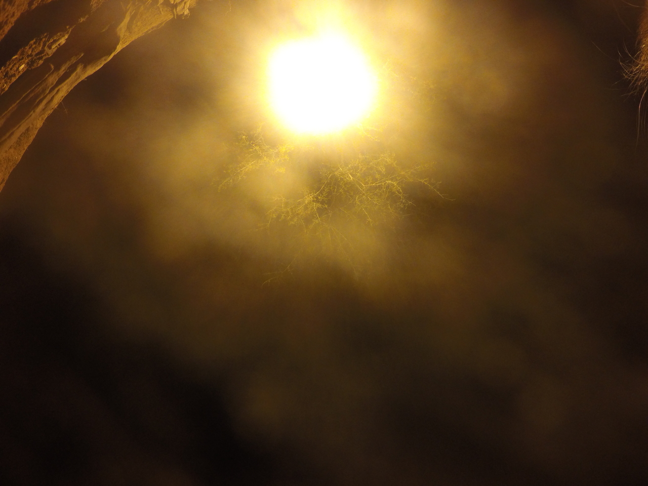 [12448] 2016_06_23_20_15_06_Africa_HERO4_Silver_IMG__00443.jpg