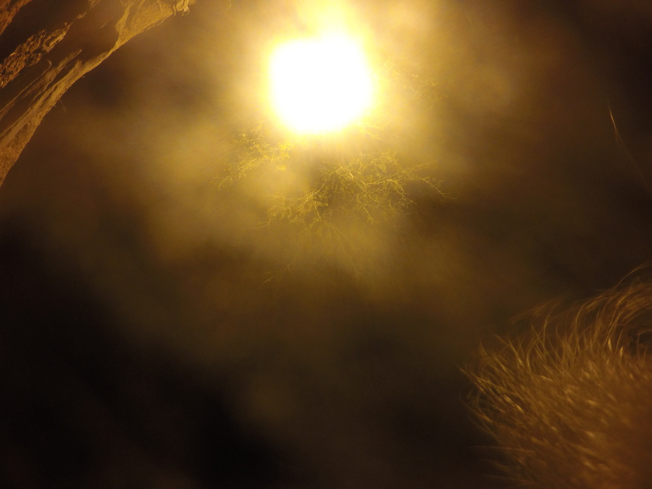 [13354] 2016_06_23_20_28_06_Africa_HERO4_Silver_IMG__00599.jpg