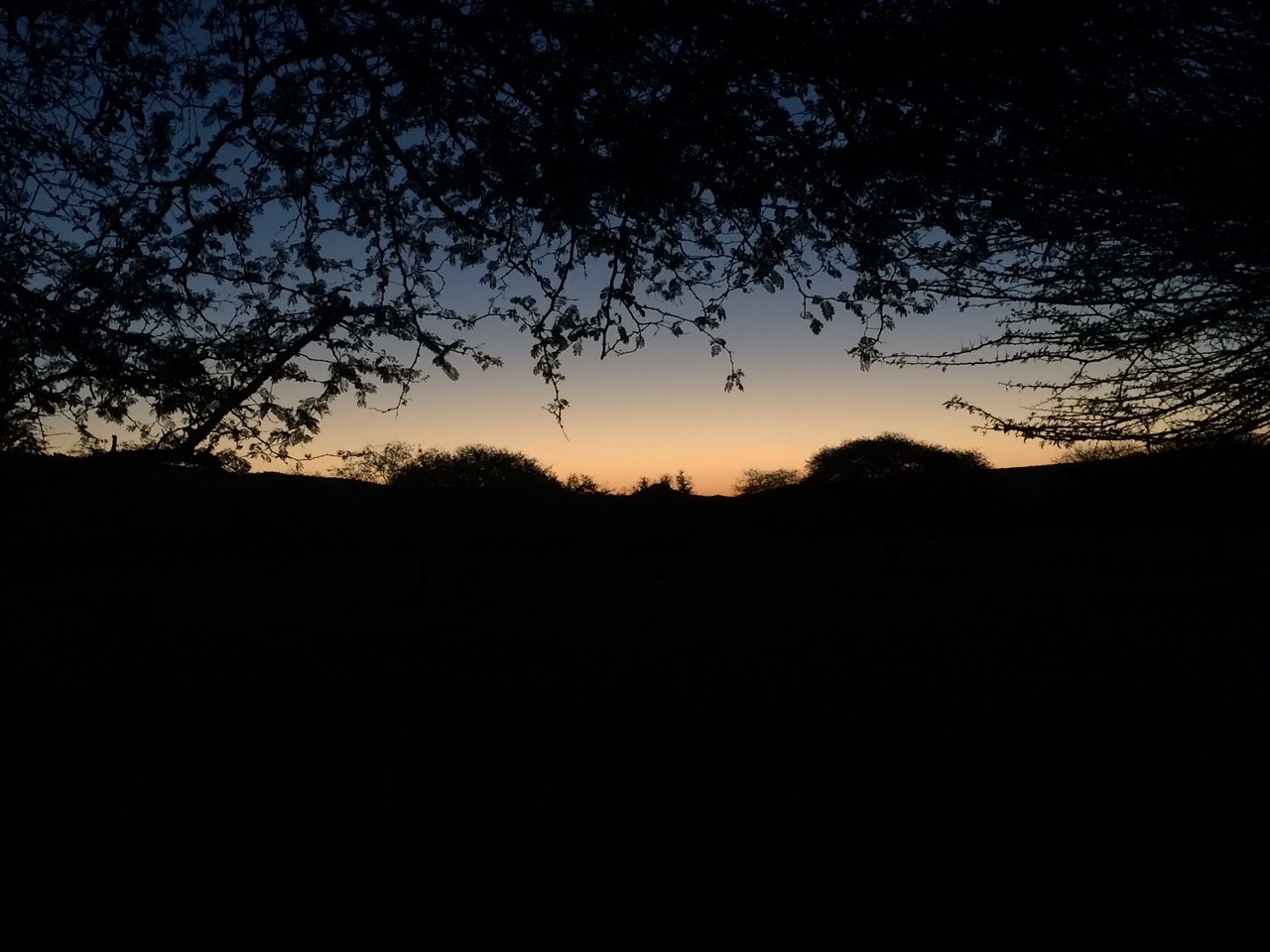 [437] 2016_06_22_01_03_26_Africa_iPhone_5s_IMG_8038_00122.jpg