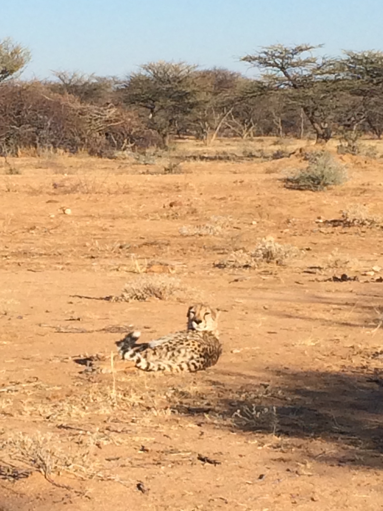 [922] 2016_06_22_02_48_50_Africa_iPhone_5s_IMG_8053_05762.jpg