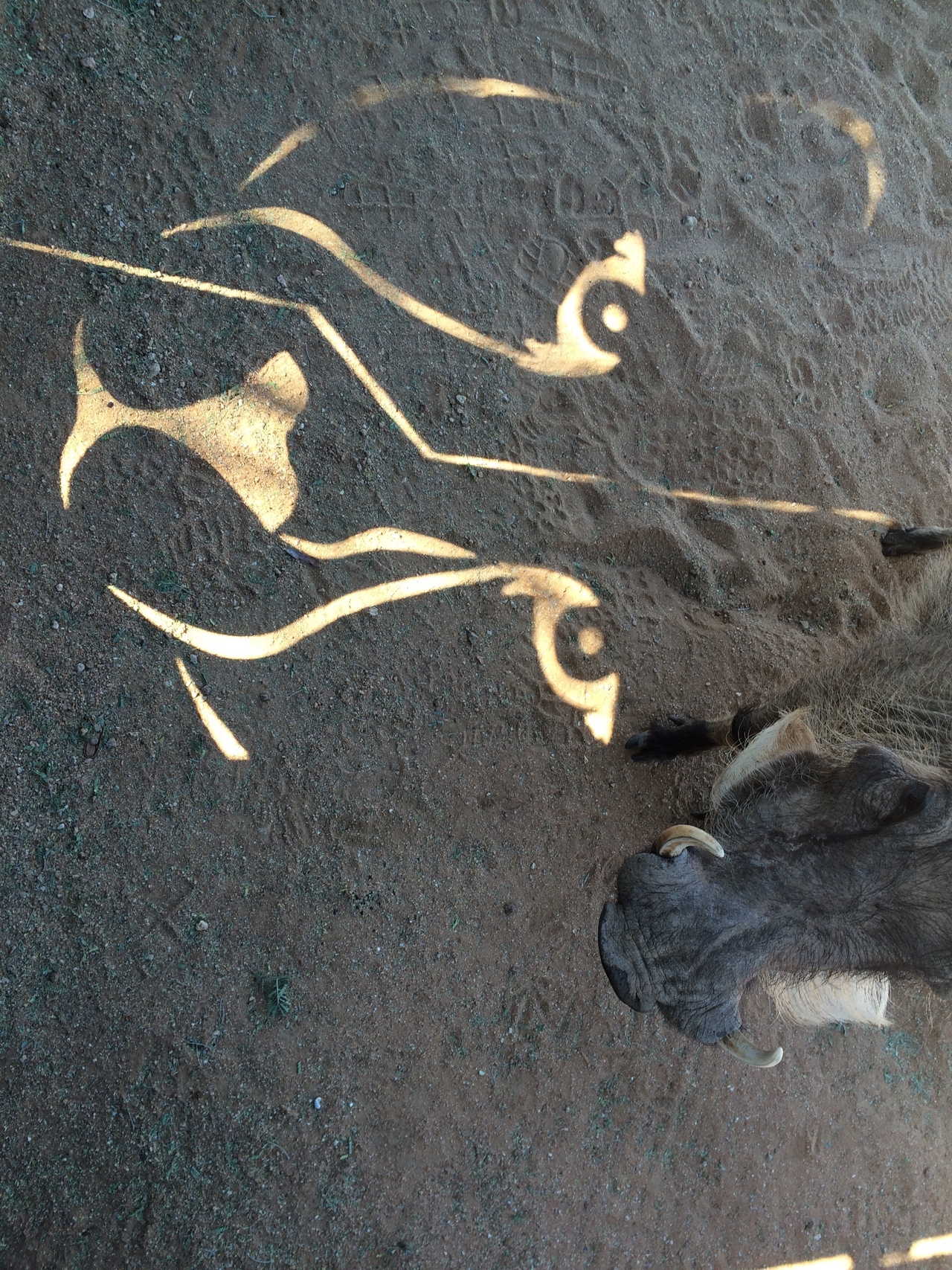 [2177] 2016_06_22_05_56_34_Africa_iPhone_5s_IMG__05799.jpg