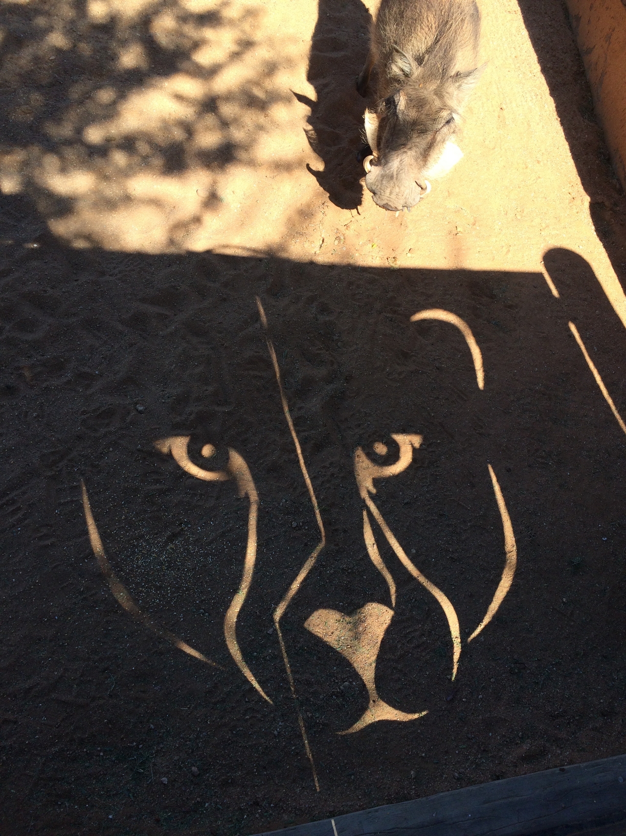 [2185] 2016_06_22_06_00_18_Africa_iPhone_5s_IMG_8074_05802.jpg