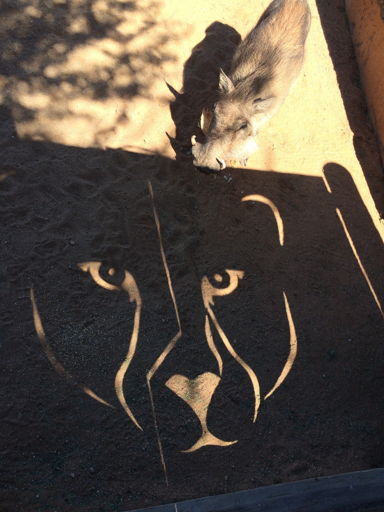 [2195] 2016_06_22_06_01_02_Africa_iPhone_5s_IMG__05807.jpg