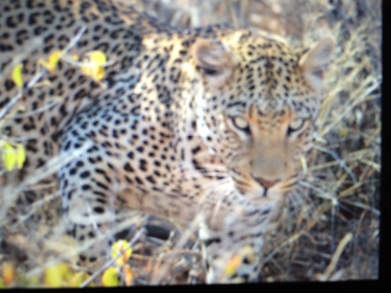 [2215] 2016_06_22_07_04_24_Africa_iPhone_5s_IMG__05811.jpg