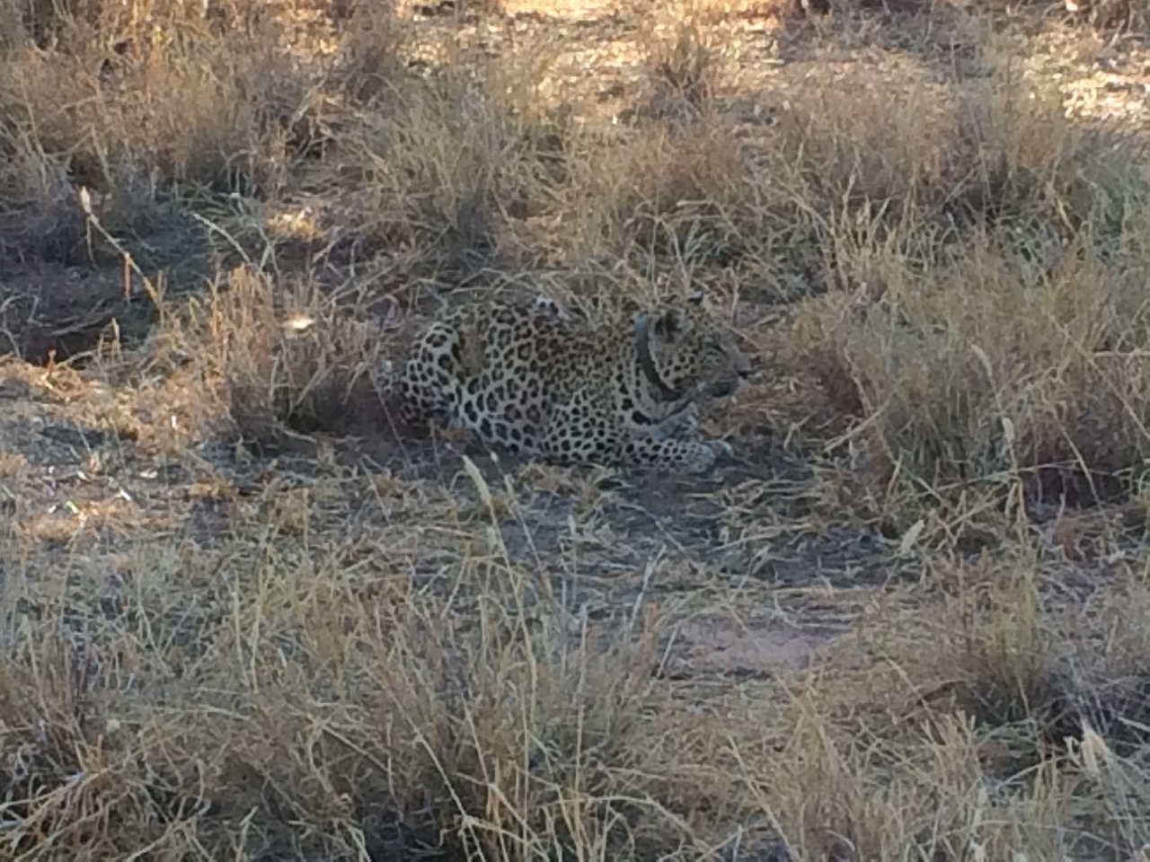 [2594] 2016_06_22_10_59_18_Africa_iPhone_5s_IMG__00213.jpg