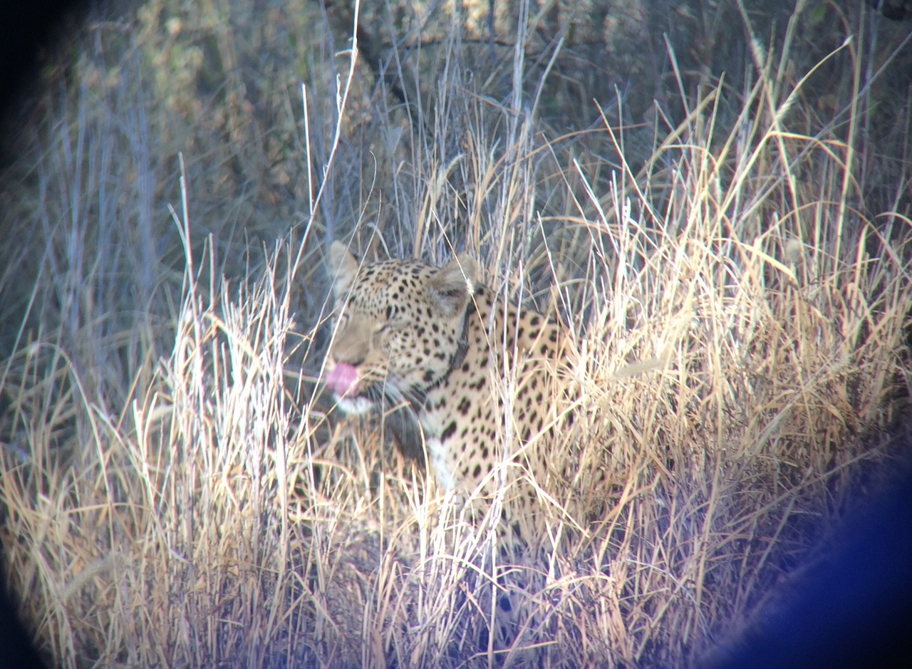 [2959] 2016_06_22_11_08_13_Africa_iPhone_5s_IMG_8091_00214.jpg