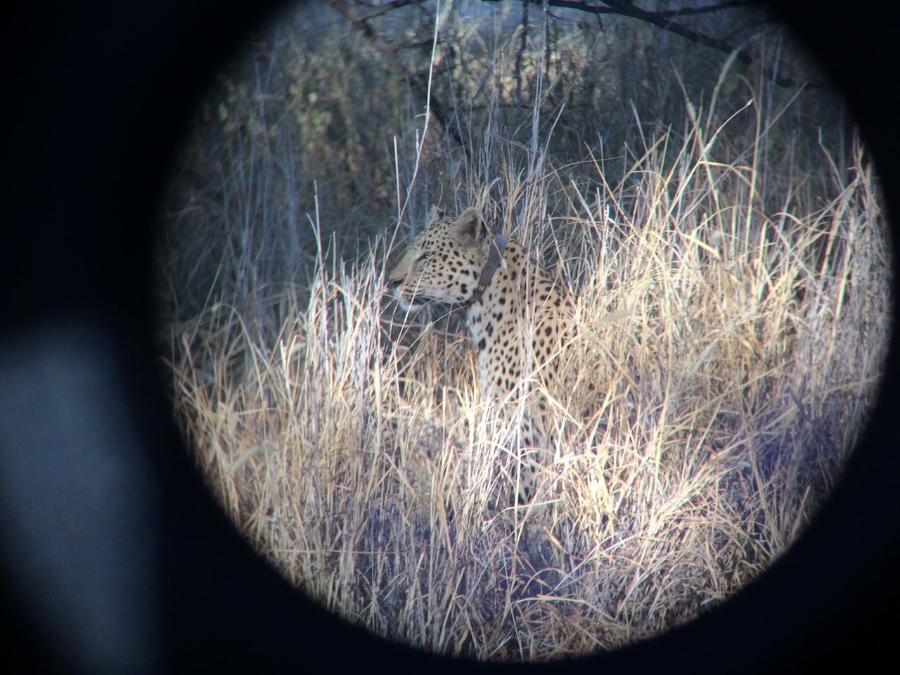 [2963] 2016_06_22_11_08_21_Africa_iPhone_5s_IMG_8093_00216.jpg