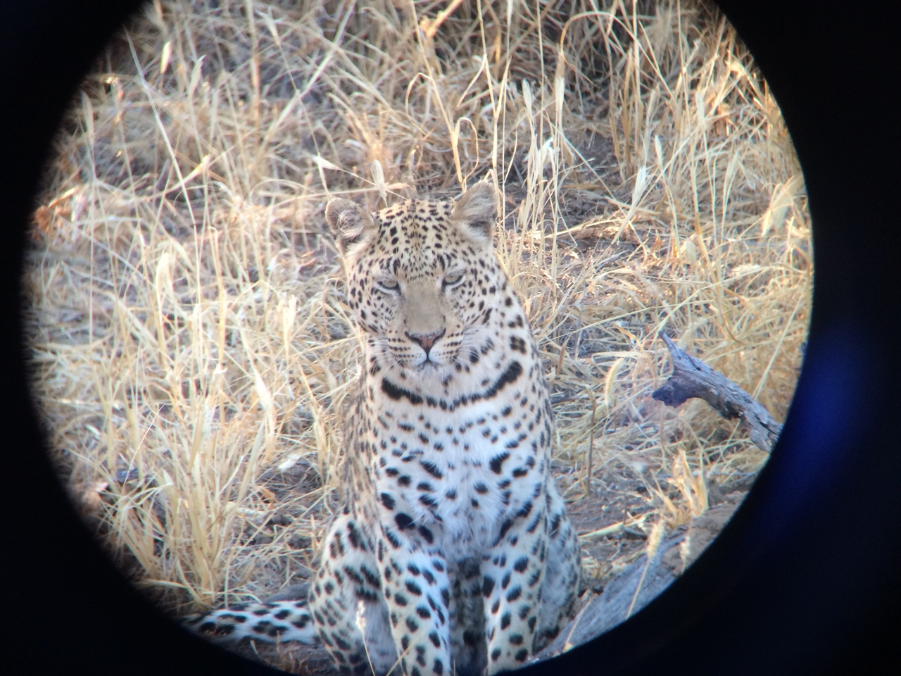 [3219] 2016_06_22_11_23_37_Africa_iPhone_5s_IMG_8111_00226.jpg