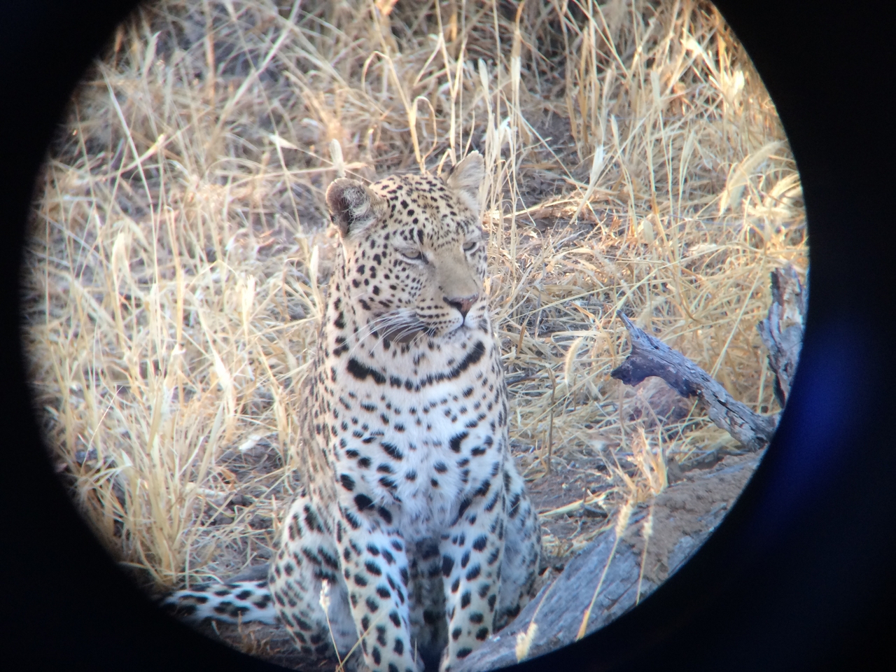 [3225] 2016_06_22_11_23_39_Africa_iPhone_5s_IMG__00229.jpg