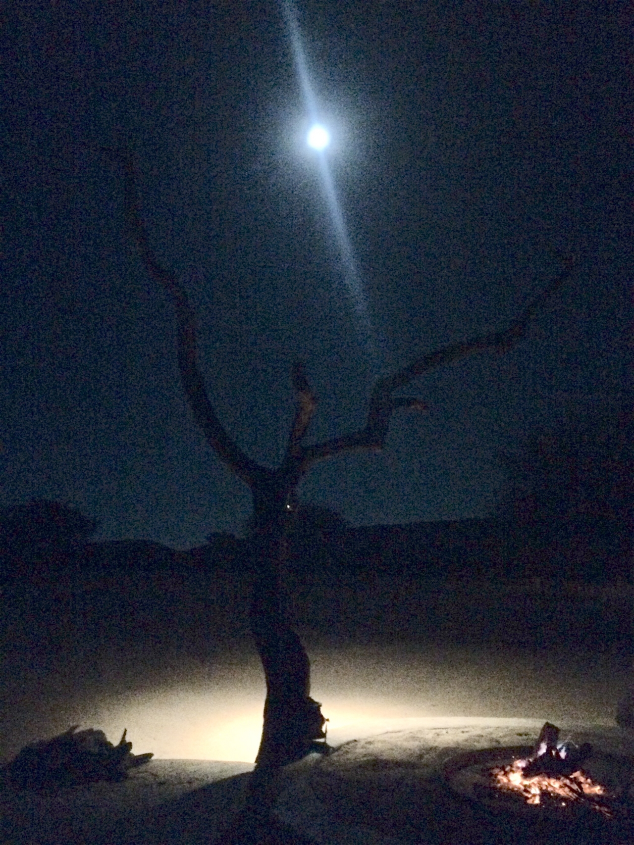 [3636] 2016_06_22_16_57_32_Africa_iPhone_5s_IMG_8123_00238.jpg