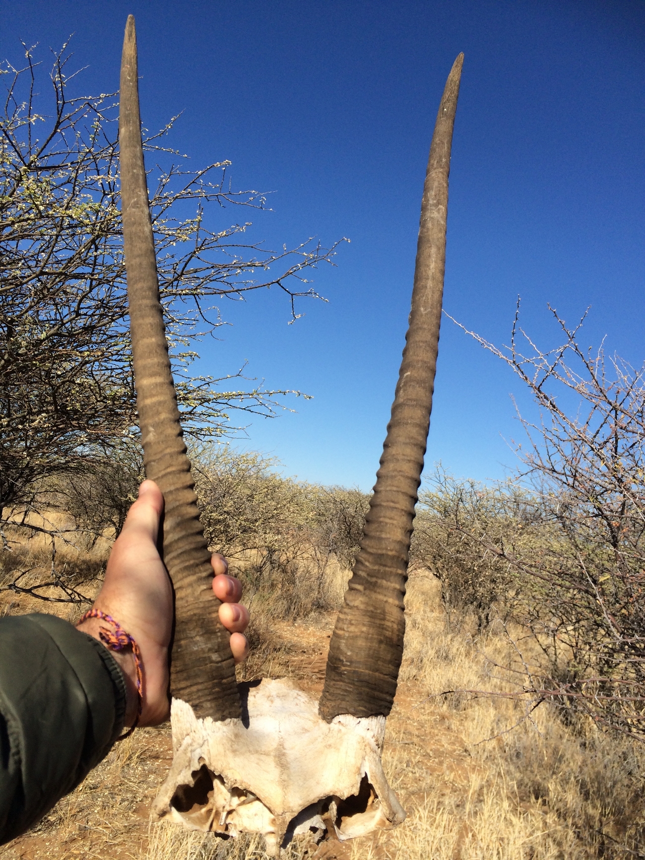 [4739] 2016_06_23_04_23_19_Africa_iPhone_5s_IMG_8155_00270.jpg