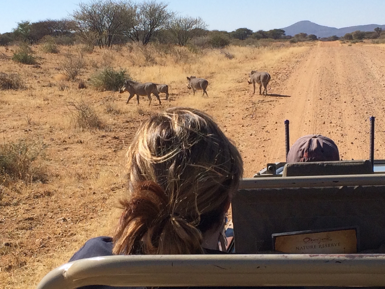 [5013] 2016_06_23_05_15_07_Africa_iPhone_5s_IMG_8168_05908.jpg