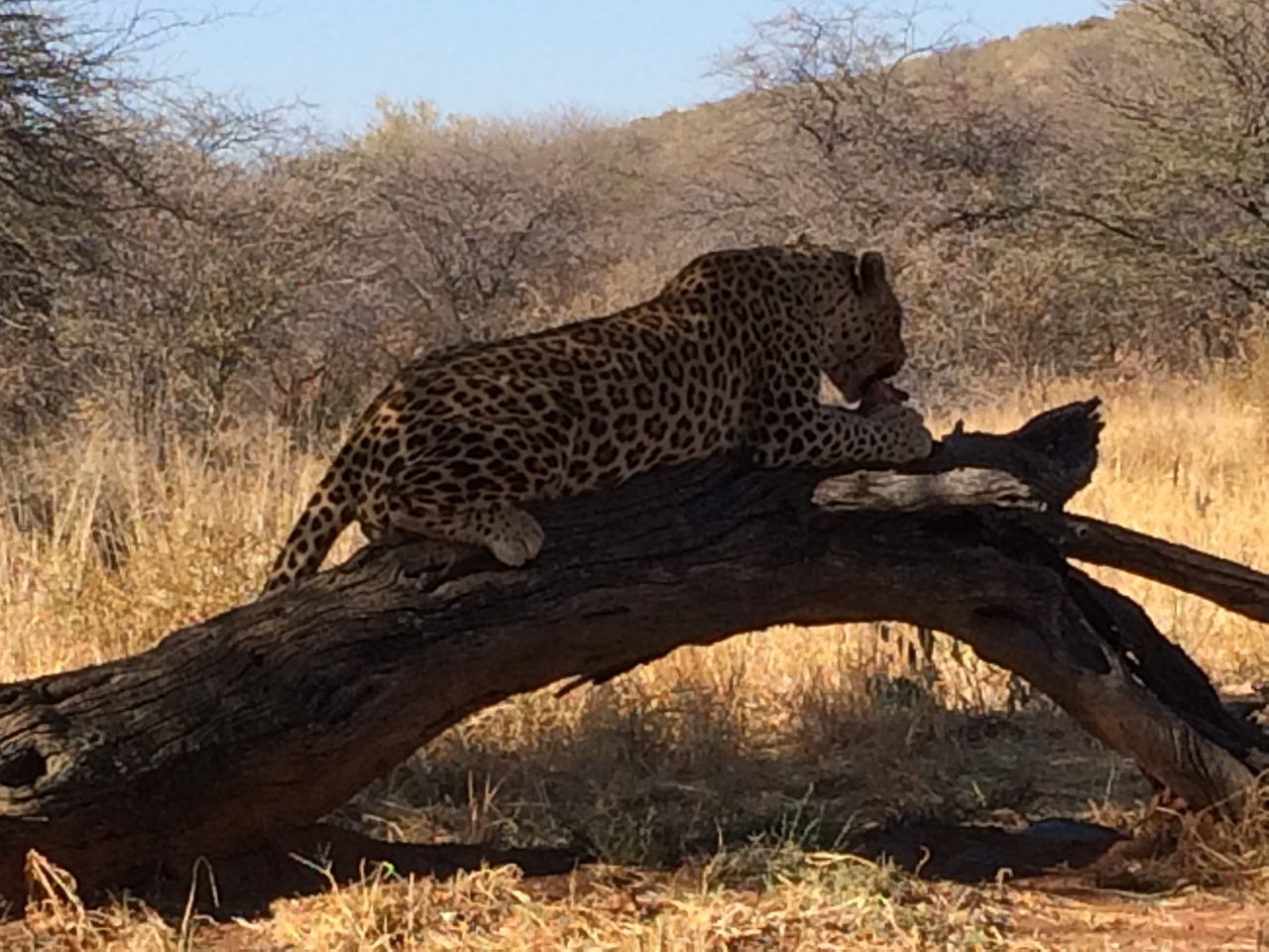 [5555] 2016_06_23_10_16_53_Africa_iPhone_5s_IMG_8178_05924.jpg